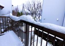 184306_1.jpg  : 77 KB