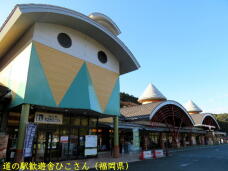 184315_1.jpg  : 49 KB