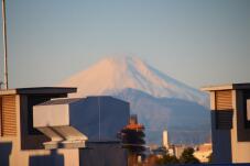 184320_1.jpg  : 82 KB