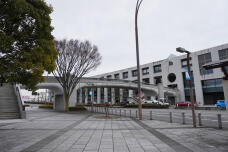 184321_1.jpg  : 210 KB