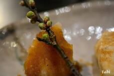 184332_9.jpg  : 39 KB