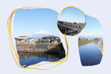 184336_1.jpg  : 133 KB