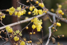 184352_1.jpg  : 59 KB