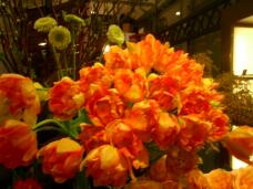 184358_1.jpg  : 168 KB