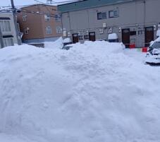 184378_1.jpg  : 24 KB