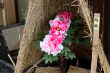 184380_3.jpg  : 99 KB