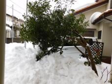 184384_1.jpg  : 106 KB