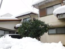 184384_2.jpg  : 81 KB