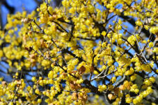 184388_1.jpg  : 208 KB