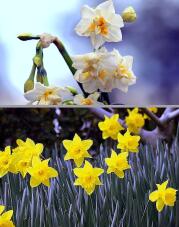 184398_1.jpg  : 124 KB