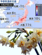 184398_2.jpg  : 111 KB