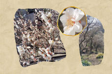 184400_1.jpg  : 287 KB