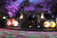 184402_1.jpg  : 123 KB