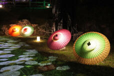 184402_3.jpg  : 89 KB