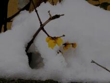 184403_1.jpg  : 41 KB