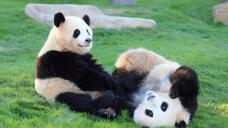 184414_2.jpg  : 59 KB