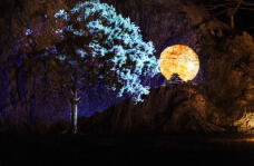 184453_3.jpg  : 80 KB