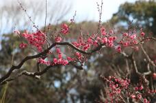 184466_1.jpg  : 184 KB