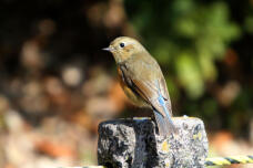 184512_1.jpg  : 52 KB