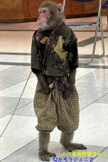 184537_1.jpg  : 58 KB