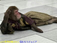 184537_2.jpg  : 54 KB