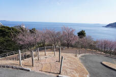 184542_1.jpg  : 245 KB