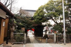 184552_3.jpg  : 188 KB