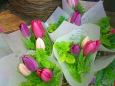 184553_1.jpg  : 123 KB