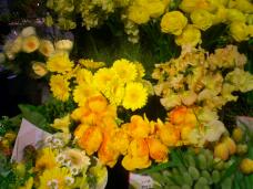 184553_2.jpg  : 125 KB