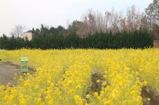 184557_1.jpg  : 187 KB