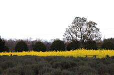 184557_2.jpg  : 123 KB