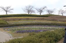 184557_3.jpg  : 270 KB