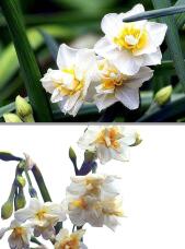 184562_1.jpg  : 107 KB