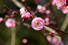 184565_3.jpg  : 46 KB