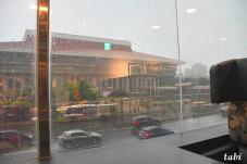 184592_1.jpg  : 63 KB