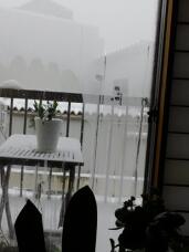 184605_2.jpg  : 51 KB