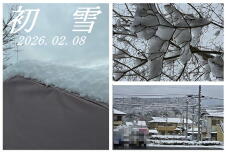 184606_1.jpg  : 123 KB