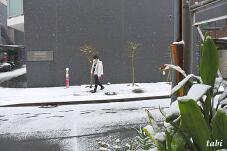 184614_5.jpg  : 83 KB