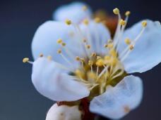 184621_2.jpg  : 63 KB