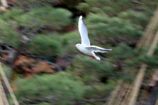 184635_3.jpg  : 47 KB