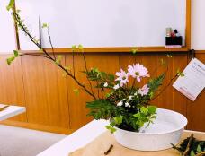 184642_1.jpg  : 75 KB