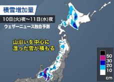 184650_2.jpg  : 54 KB