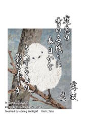 184655_1.jpg  : 137 KB