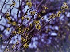 184656_1.jpg  : 115 KB