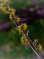 184656_2.jpg  : 97 KB