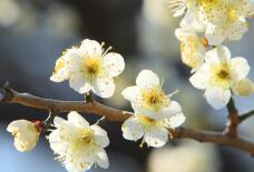 184672_2.jpg  : 136 KB