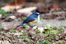 184675_1.jpg  : 82 KB