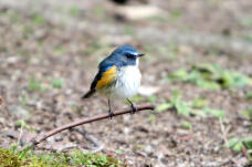 184675_2.jpg  : 58 KB