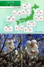 184702_1.jpg  : 122 KB