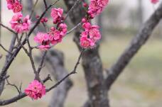 184711_3.jpg  : 137 KB